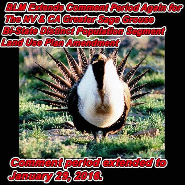 FB-NV-blm-carson-city-alert-SG-ext-01.18.16.webp