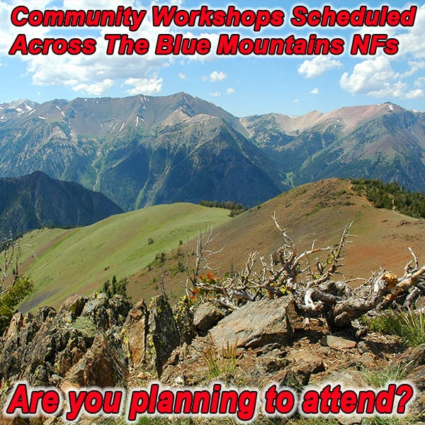 FB-OR-Blue-Mountains-NF_06.30.15.webp