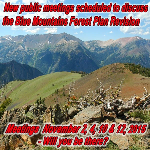 FB-OR-Blue-Mountains-NF_10.21.15.webp