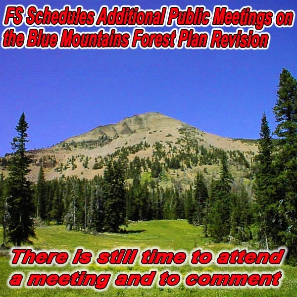 FB-OR-Blue-Mountains-NF_11.19.15.webp