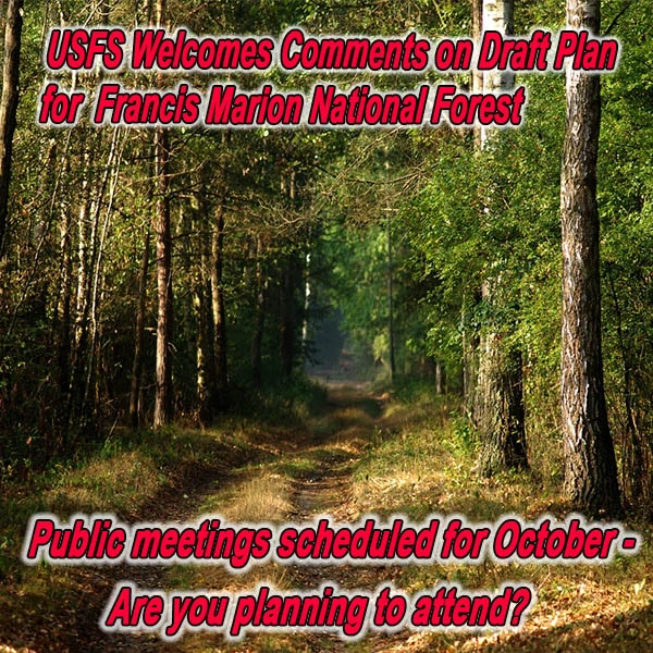 FB-SC-FMNF-Forest-plan-meetings-09.23.15.webp