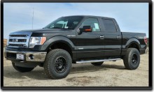 ICON Ford F 150