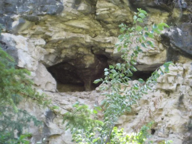 IMG_0240-640x480.webp