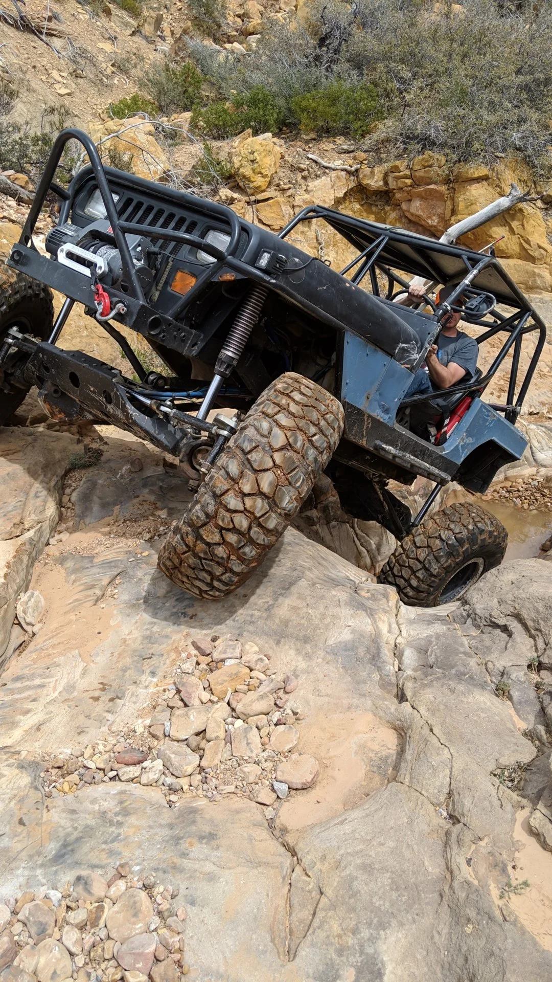 IMG_20190406_135223.webp