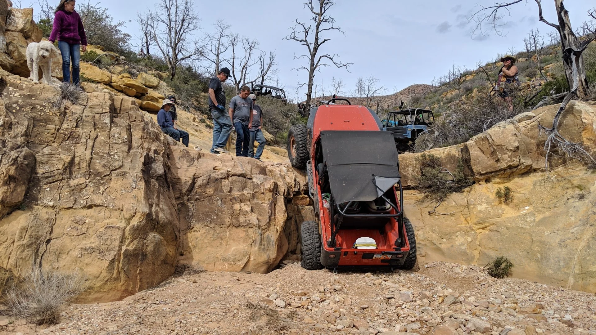 MVIMG_20190406_153808.webp