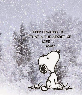snoopy.webp