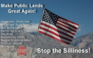 stop_silliness_flag1.webp
