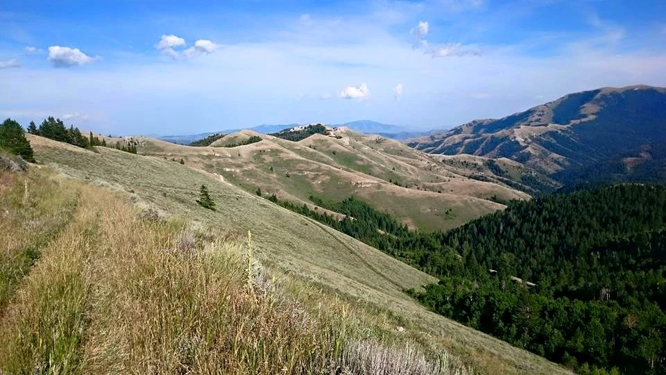 trail-956-deep-creek-range.webp