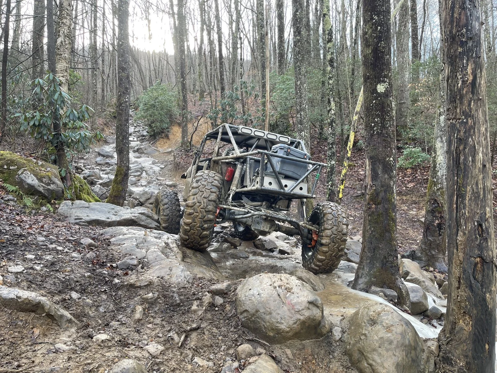 Windrock Rail Trail.webp