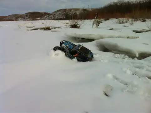 image-2365262113.webp
