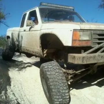 crawlin2.webp