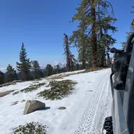 mustcamp