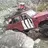 bkcruiser