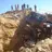 LandSpeeder