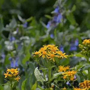2014-07_All4Fun_DSC_8231