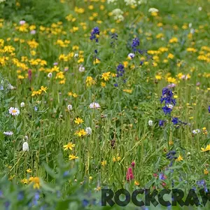 2014-07_All4Fun_DSC_8382