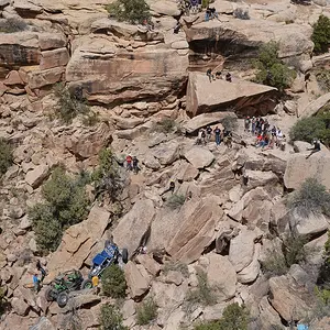 EJS2015_BlackFlag-CRAWLmag-AreaBFE-DSC_8624