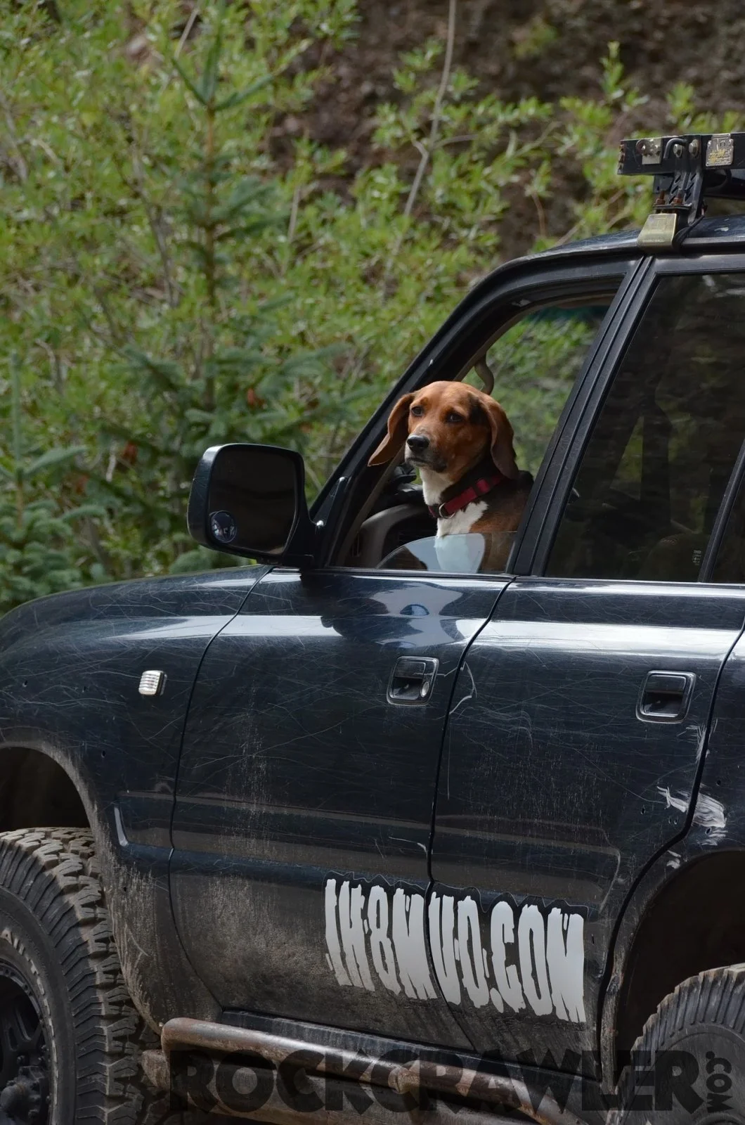 2014-07_All4Fun_DSC_8208