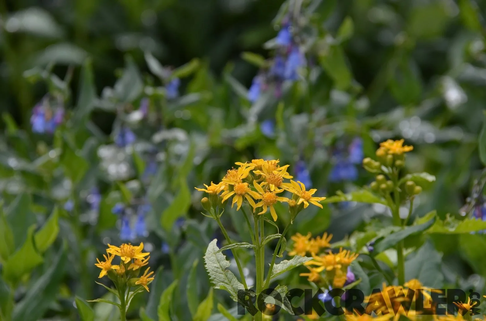 2014-07_All4Fun_DSC_8231