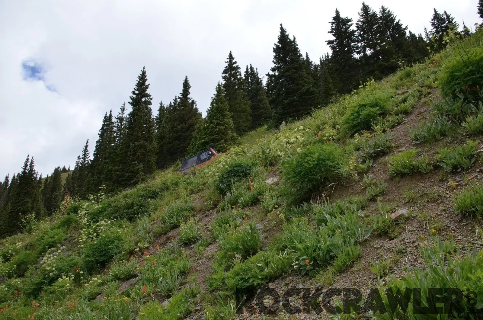 2014-07_All4Fun_DSC_8233