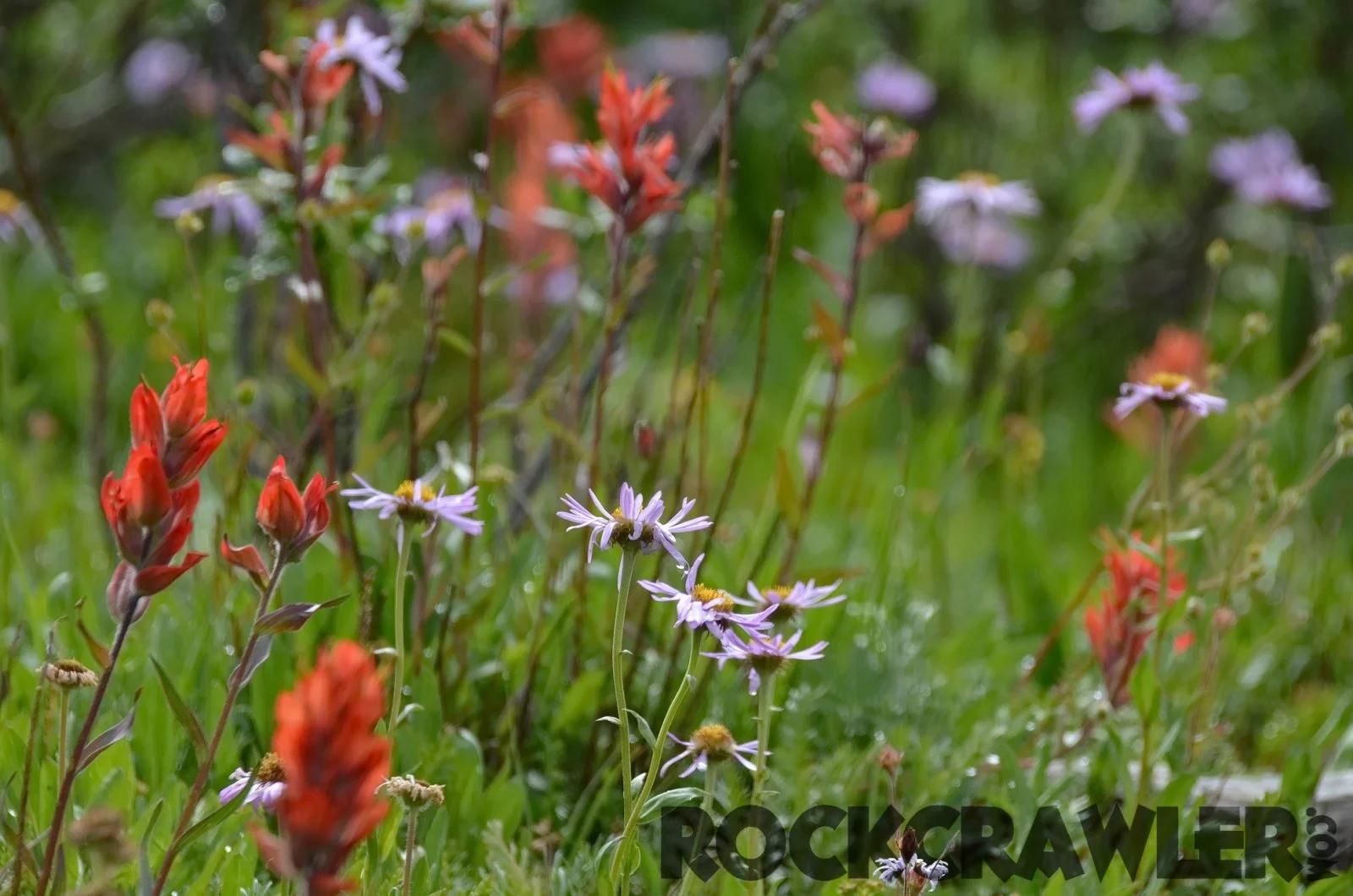 2014-07_All4Fun_DSC_8252