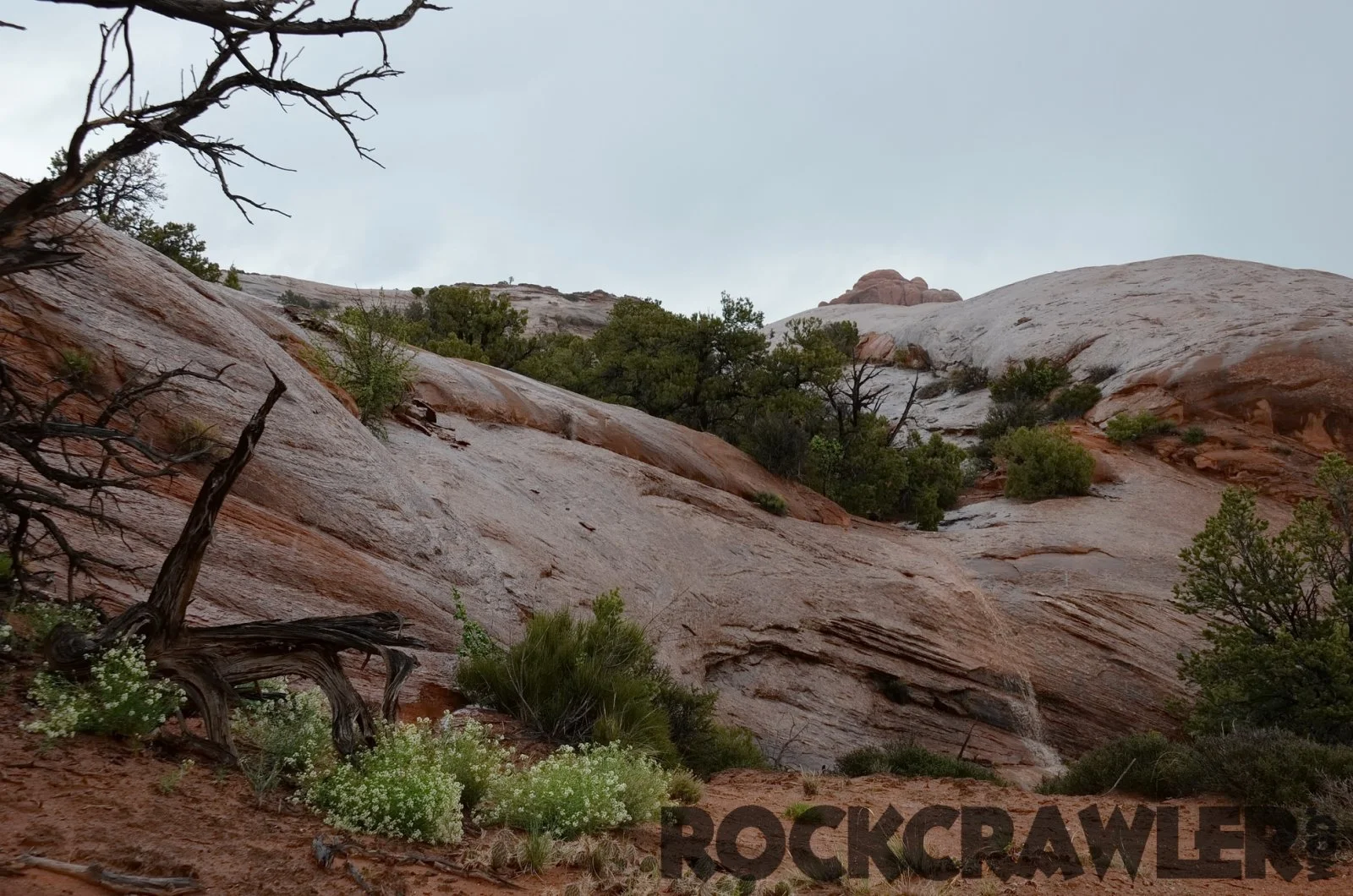2014_EasterJeepSafari_DSC_2143