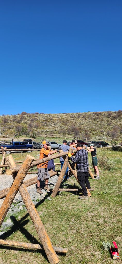 20230917_122516-473x1024.jpg