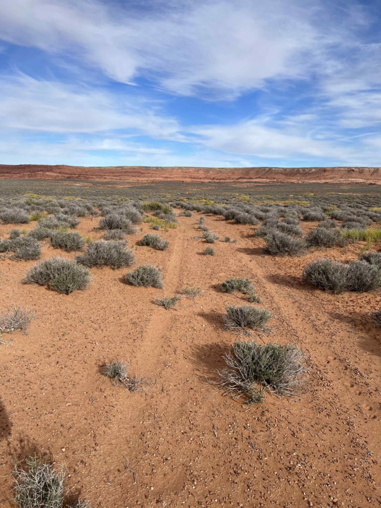 San-Rafael-Desert-Route-143-768x1024.jpg