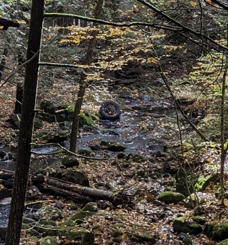 Winchester_cleanup_16a.jpg