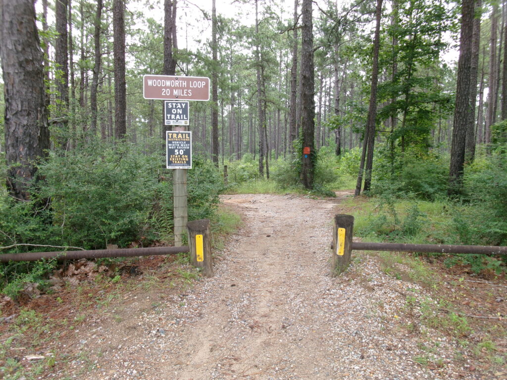 100_0062-1024x768.jpg