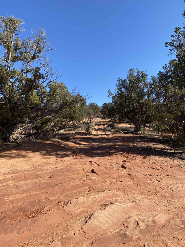 Steep-Trail-Road-768x1024.jpg