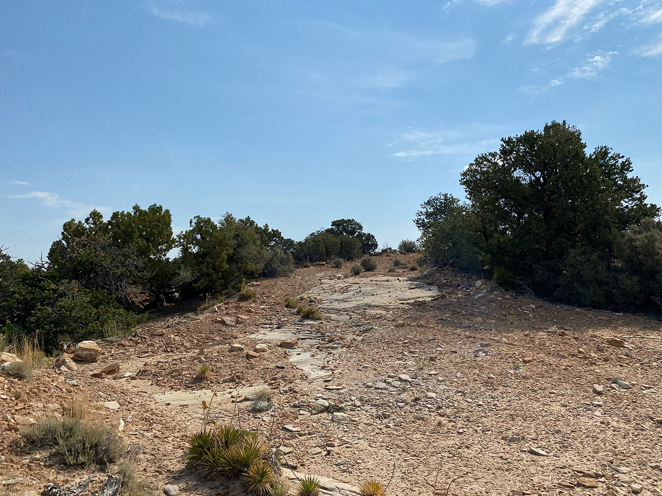 Swell-Route-4555-v2.jpg