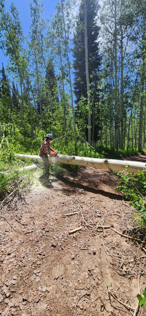 20250614_150913-473x1024.jpg