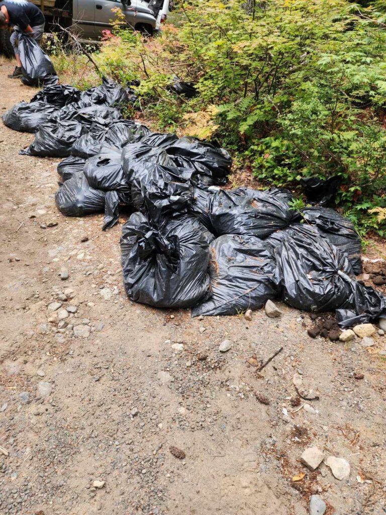 Dump-Site2-768x1024.jpg