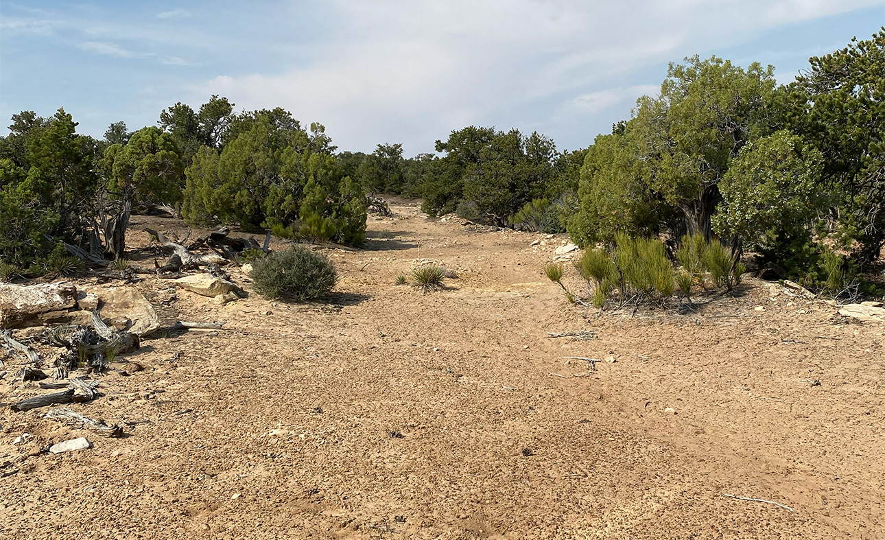 Swell-route-4555.jpg