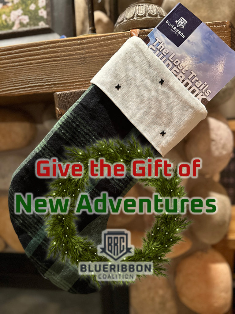 guidebook-gift-768x1024.jpg
