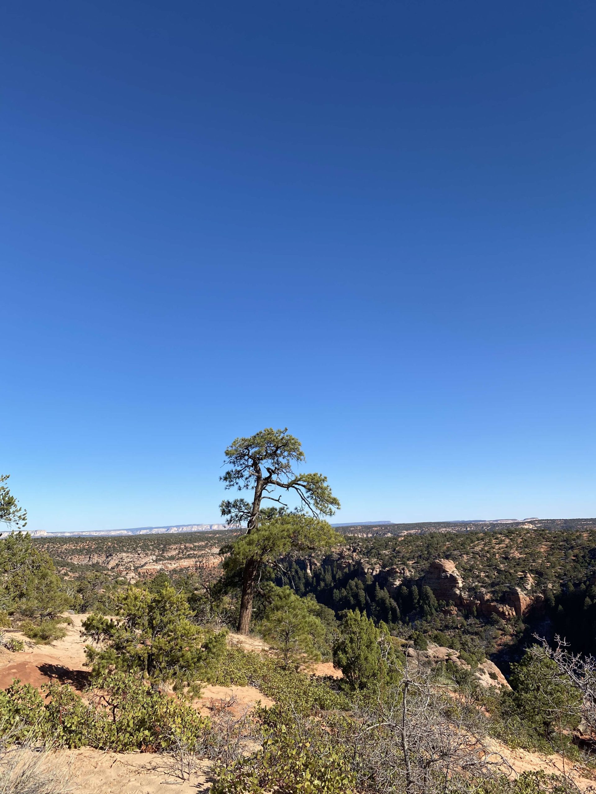 Moquith-MTN-scaled.jpg