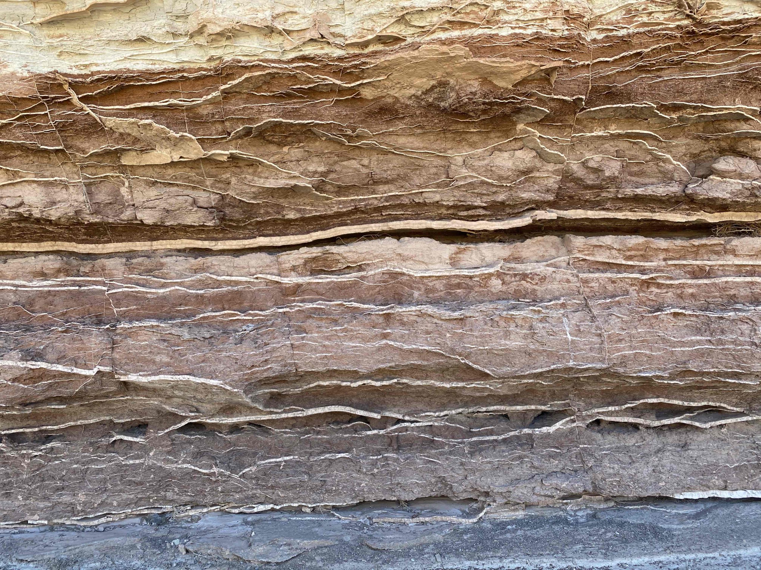 ss5129-wall-scaled.jpg