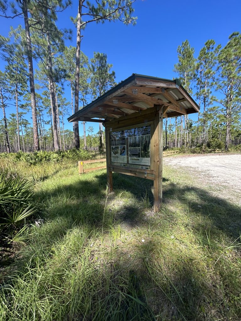 kiosk_Swarthout_back-far-768x1024.jpg