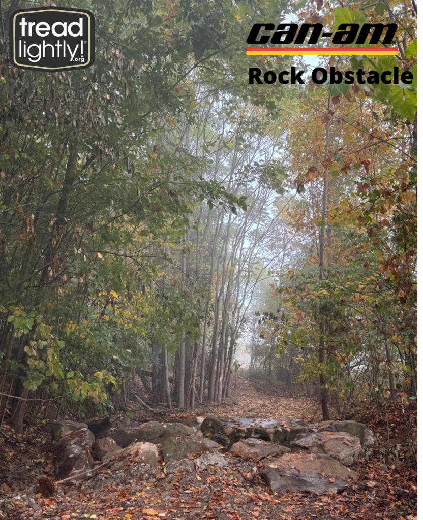IMG_20250312_104817-832x1024.png