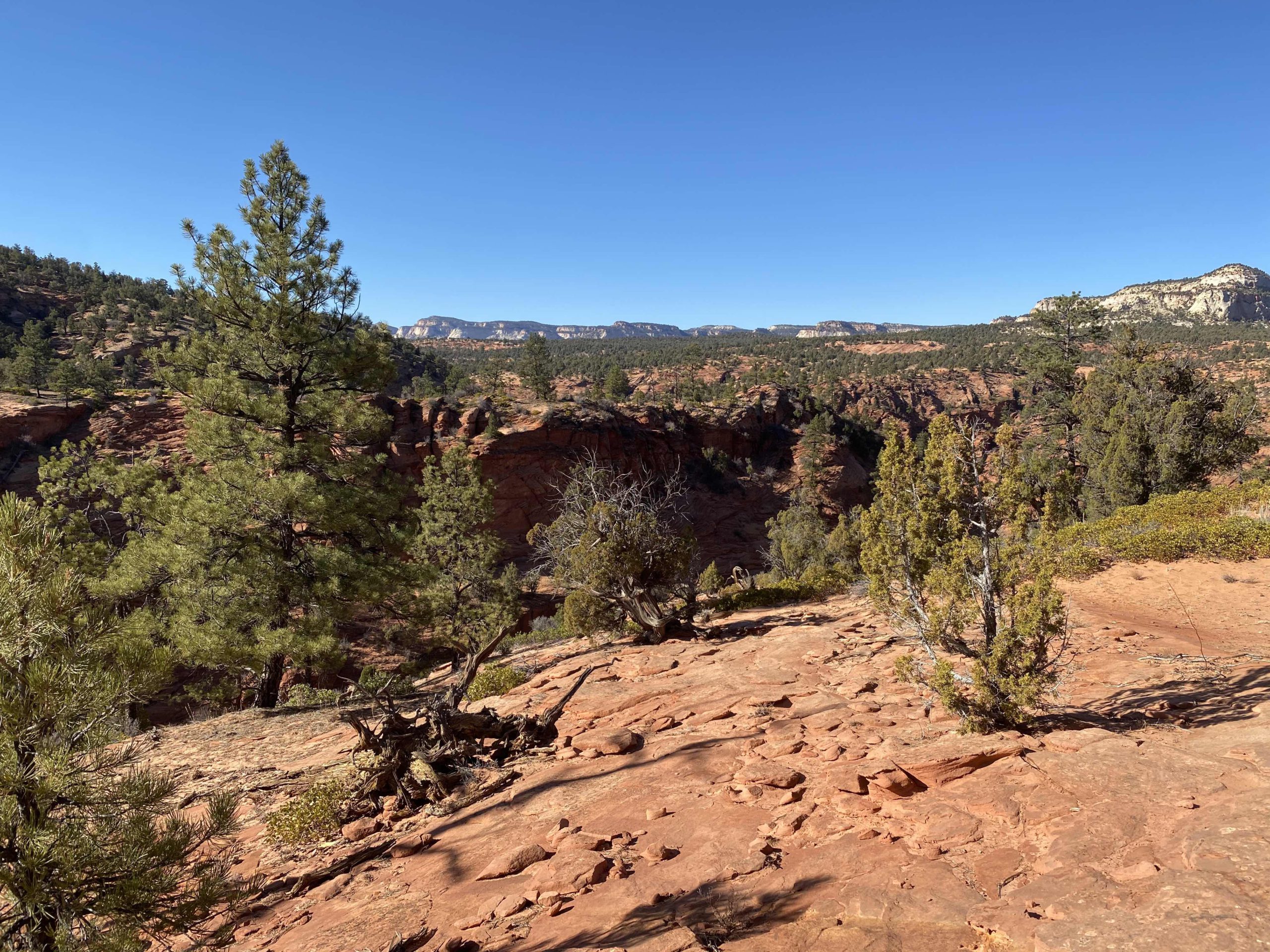 Elephant-Cove-3-scaled.jpg