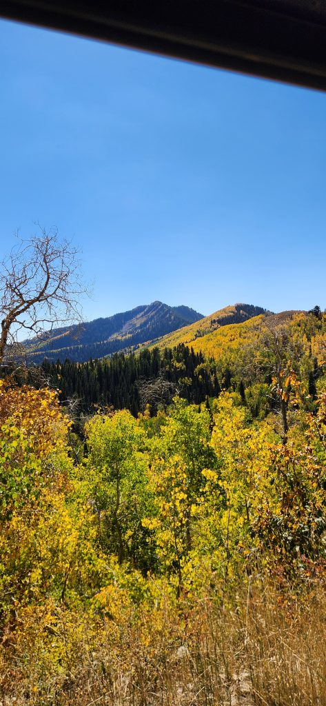 20240928_134955-473x1024.jpg