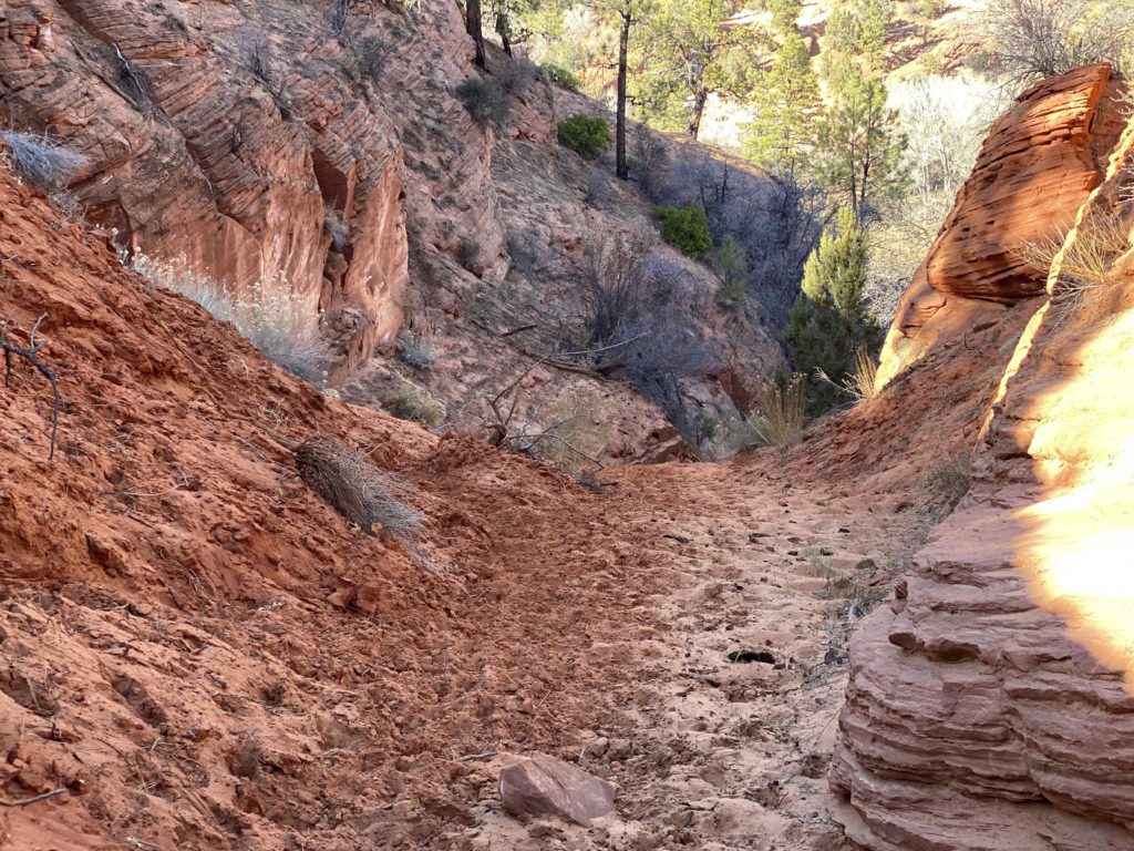 Steep-Trail-2-1024x768.jpg