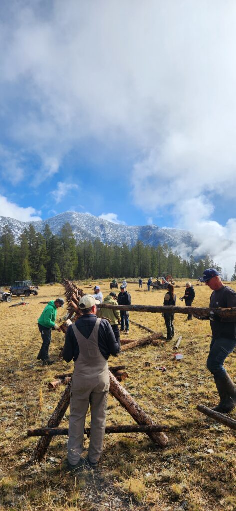 20230923_112250-473x1024.jpg