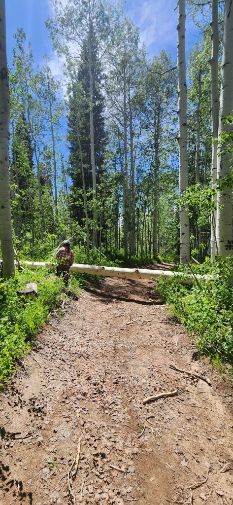 20250614_150745-473x1024.jpg