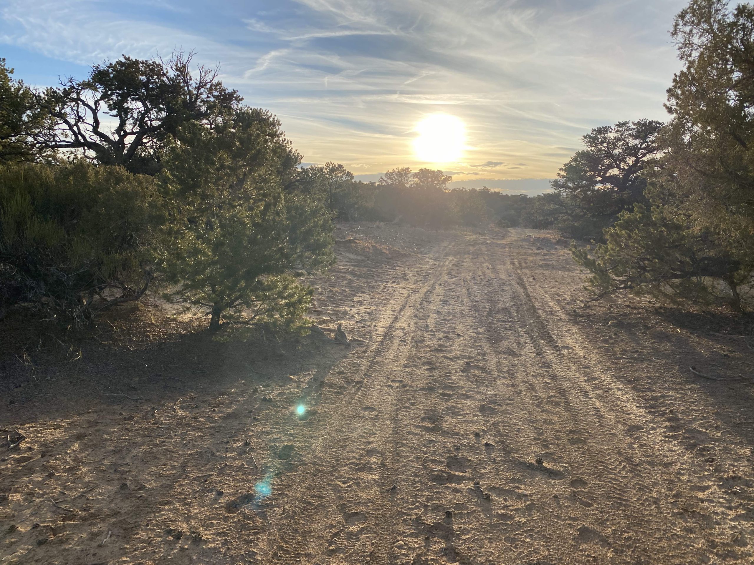 WSA-release-road-scaled.jpg