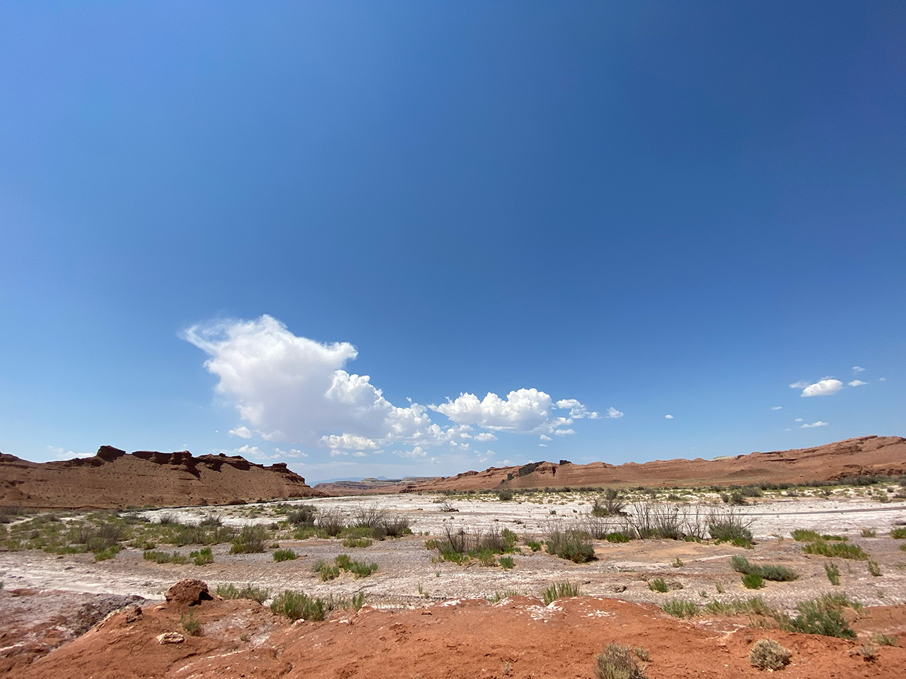 muddy-creek-1.jpg