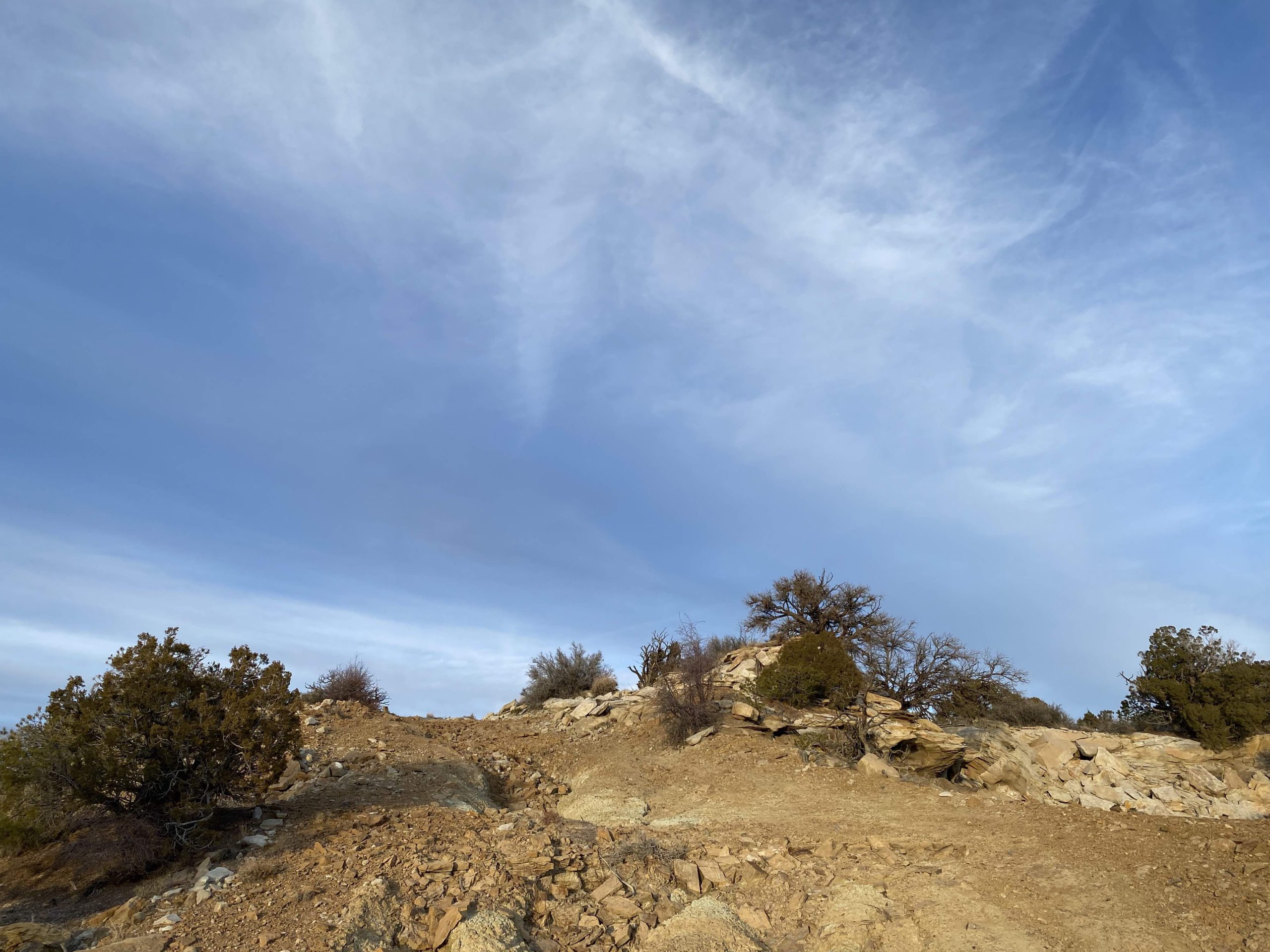 wsa-road-release-rugged-descent-scaled.jpg