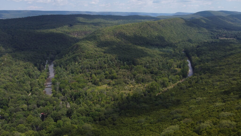 DJI_0356-1024x576.jpg
