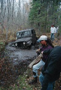 Deep Woods